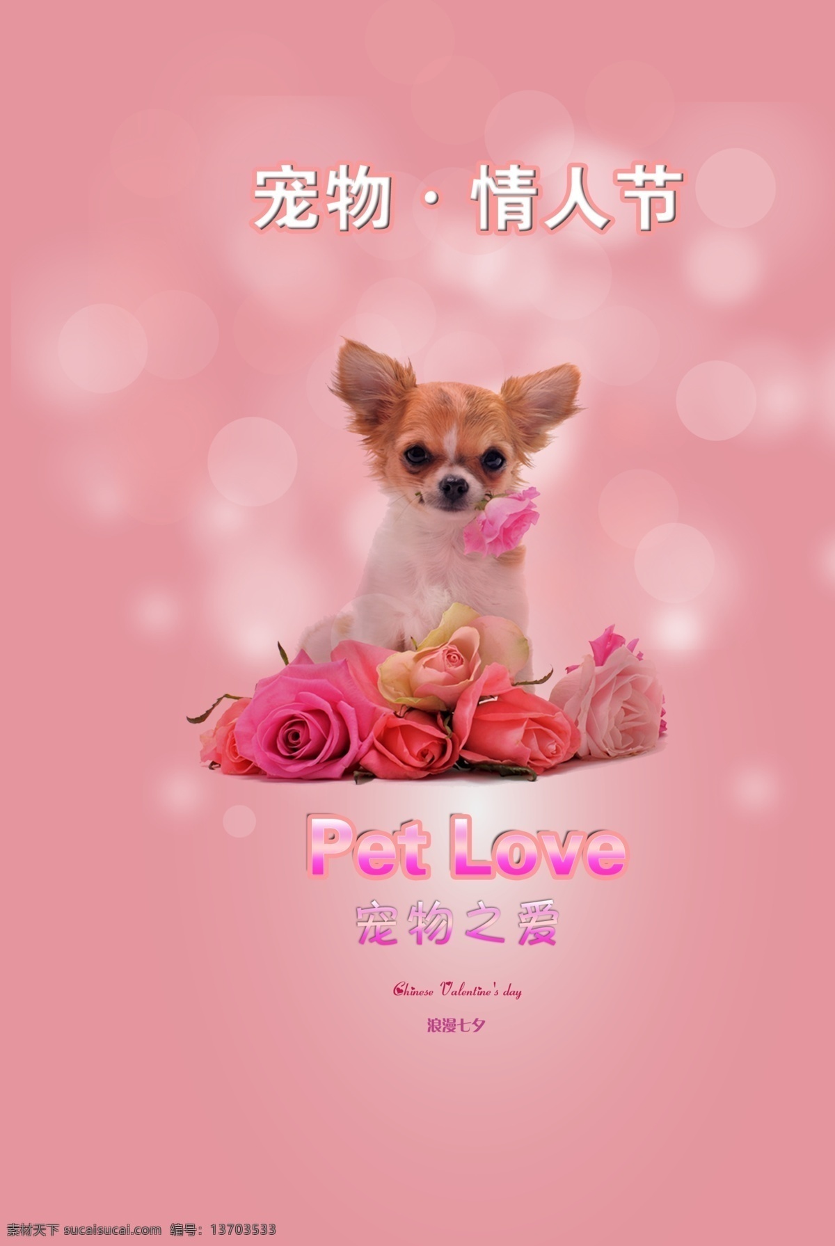 宠物情人节 宠物 情人节 爱情 定情物 浪漫 恋爱 love 爱心 背景