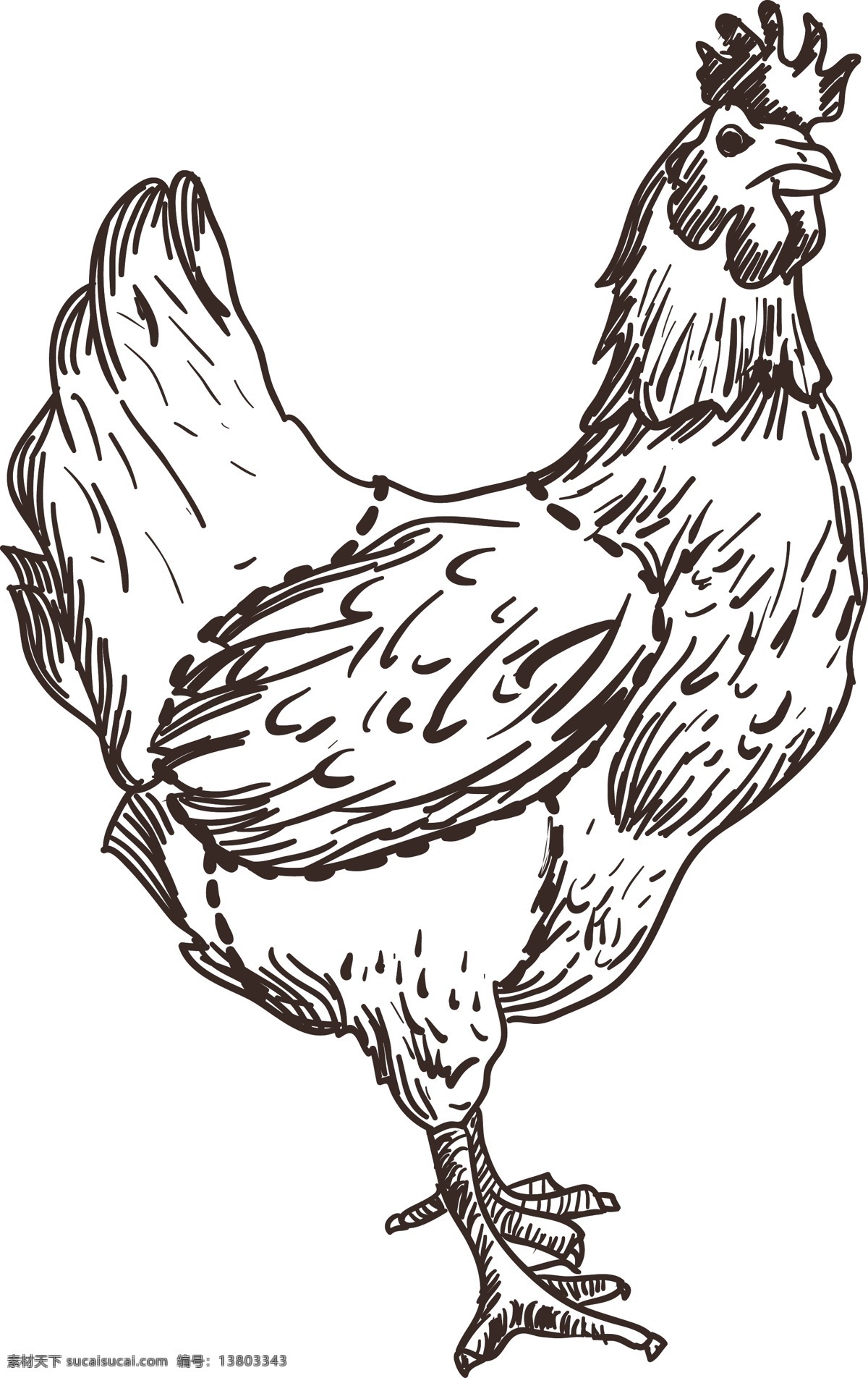 鸡矢量图 卡通鸡 矢量鸡 鸡插图 鸡插画 ai素材 卡通公鸡 卡通小鸡 卡通设计