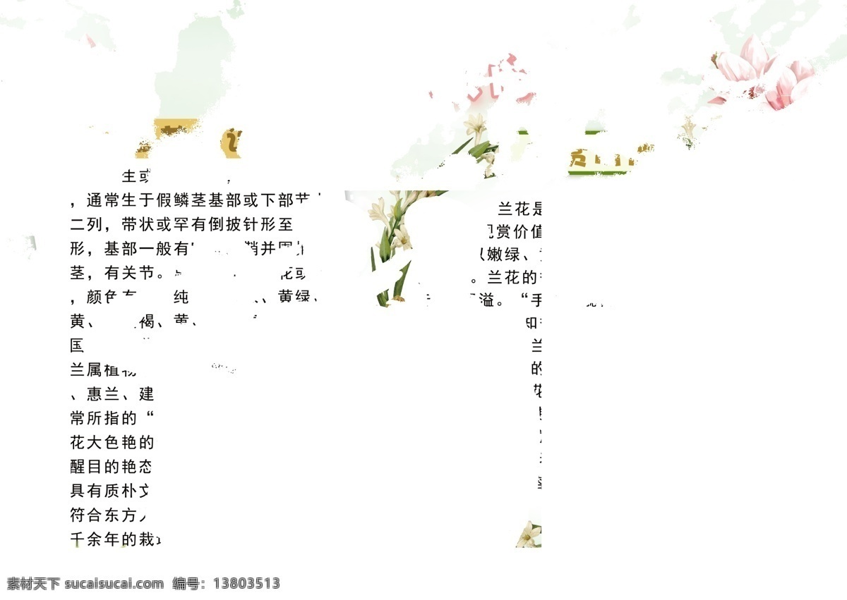 兰花知识简介 兰花小报 科技知识小报 花卉小报 植物观察小报 兰花 兰花知识小报 植物小报知识 鲜花 小报 科普 赏兰小报 名花小报 关于 植物 简单 大全 动植物小报
