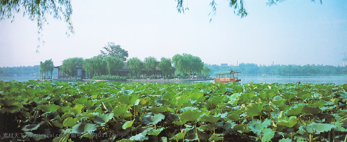 大明湖 风景 旅游 生活 旅游餐饮