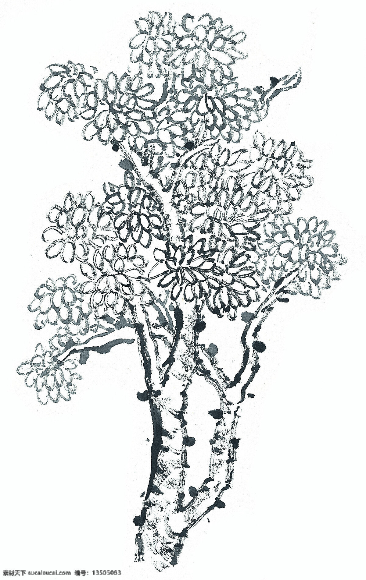 枝繁叶茂 树木 美术 绘画 水墨 白色