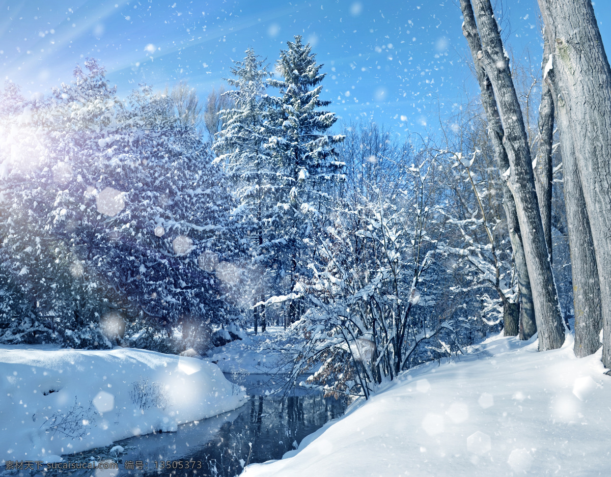 雪地 上 白雪 覆盖 树木 白雪覆盖 溪流 美景 冬景 雪景 山水风景 风景图片