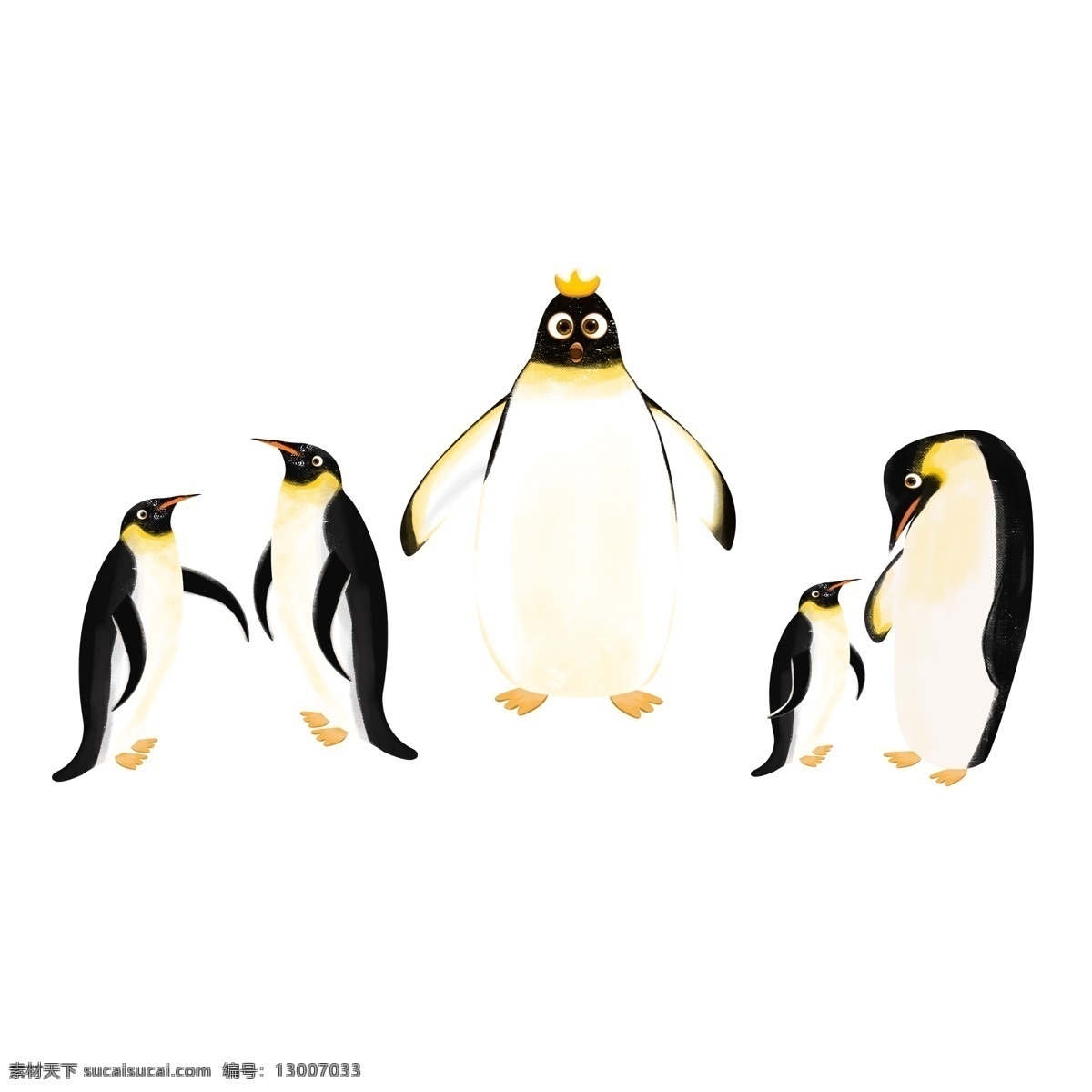 卡通 一群 企鹅 冬季 动物 北极 手绘