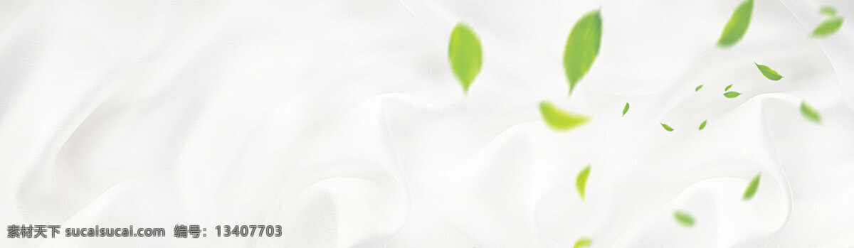 清新 绿色 树叶 banner 背景 简约 绿色树叶 白底