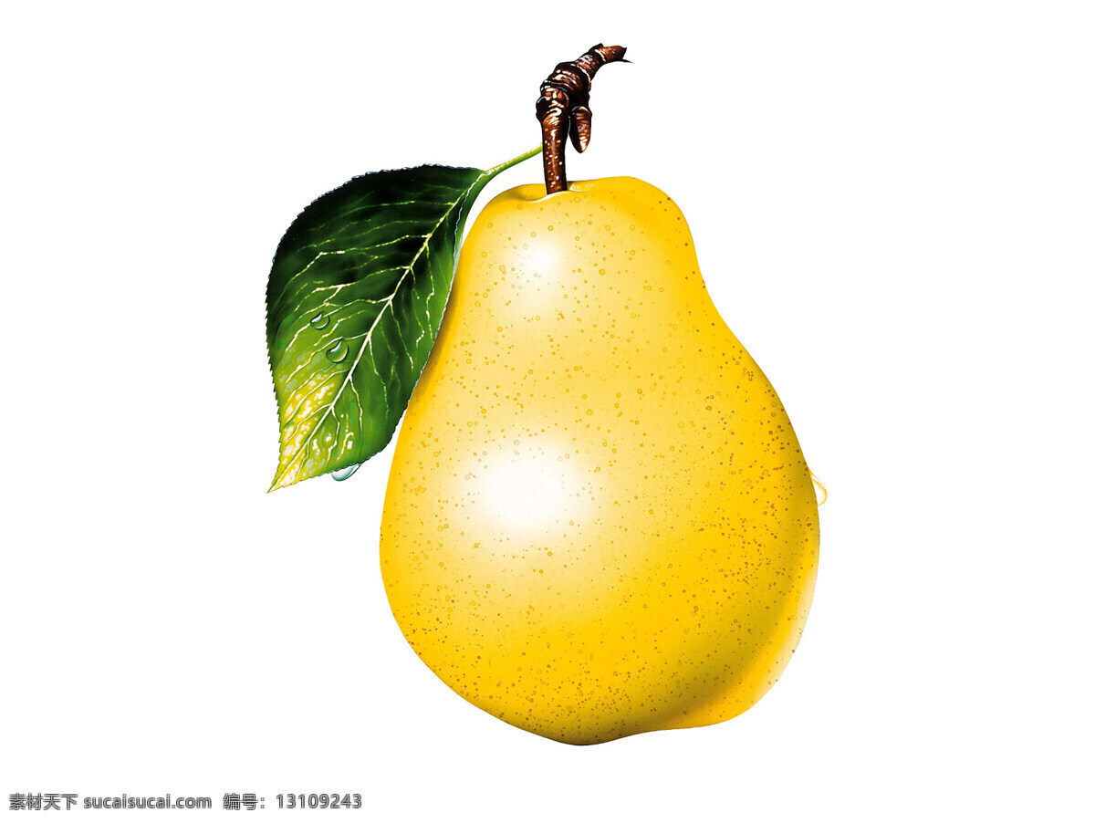 手绘 梨子 梨 手绘水果 卡通 图 合成 黄梨 生物世界