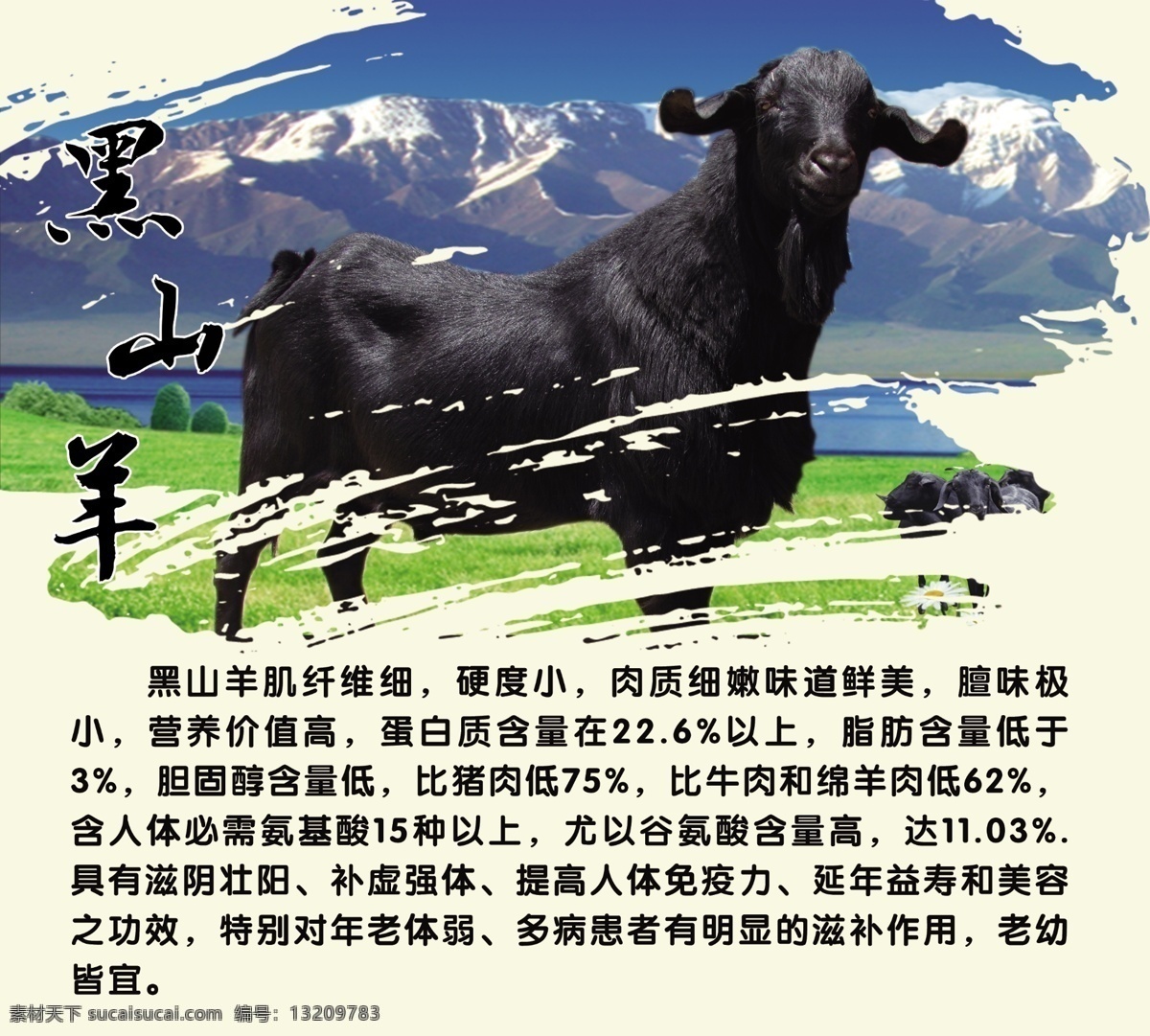 黑山羊海报 黑山羊 羊肉粉 水城羊肉粉 海报