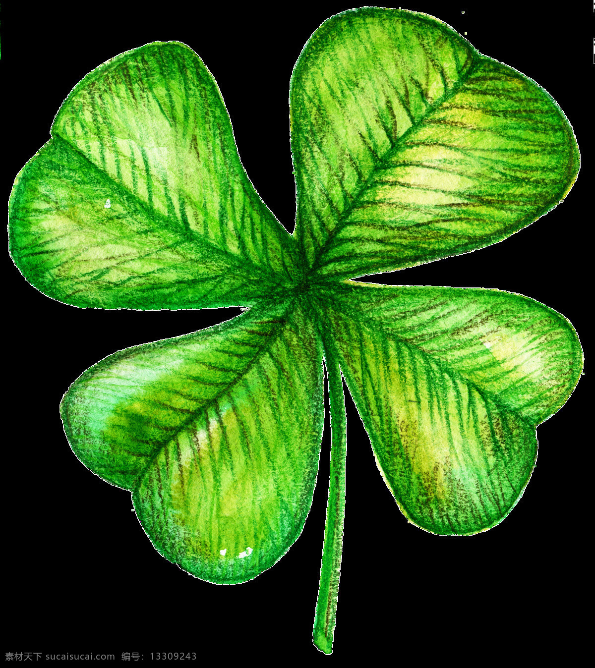 碧绿 草叶 卡通 透明 装饰 植物 树叶 透明素材 免扣素材 装饰图案