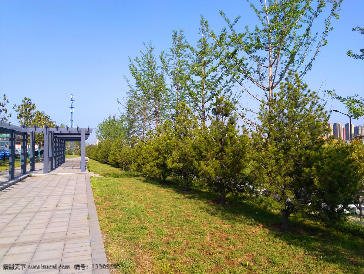 蓝天 下 公园 风景 树木 草地 街道 多娇江山 自然景观 自然风景