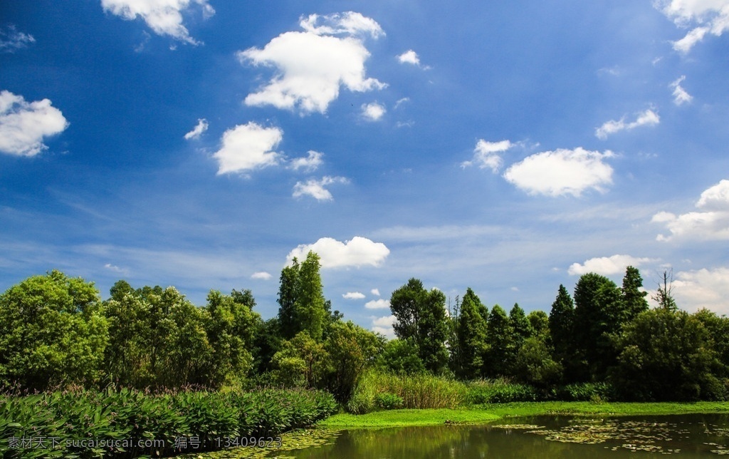 西溪湿地 2012杭州 夏季 次生湿地 生态资源 自然景观 生态保护区 旅游景区 湿地公园 自助游 国内旅游 旅游摄影