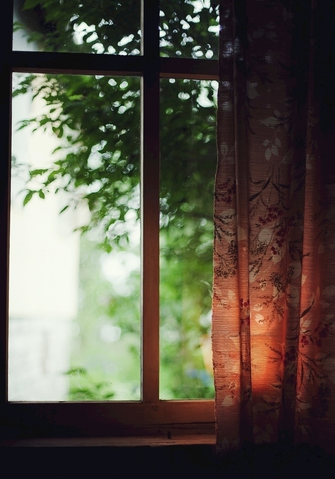 窗外的绿色 窗 树叶 树 窗帘 线条 屋内 红色 白色 光 生活百科 生活素材