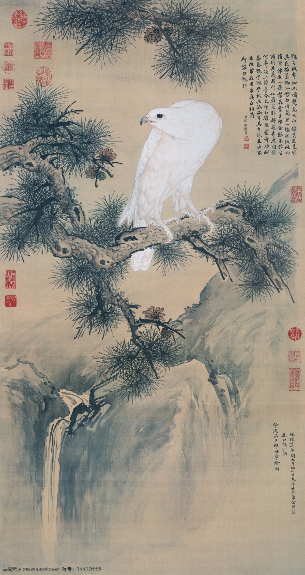 清 郎世宁白鹰图 复制画 中国画 古画 文化艺术 绘画书法