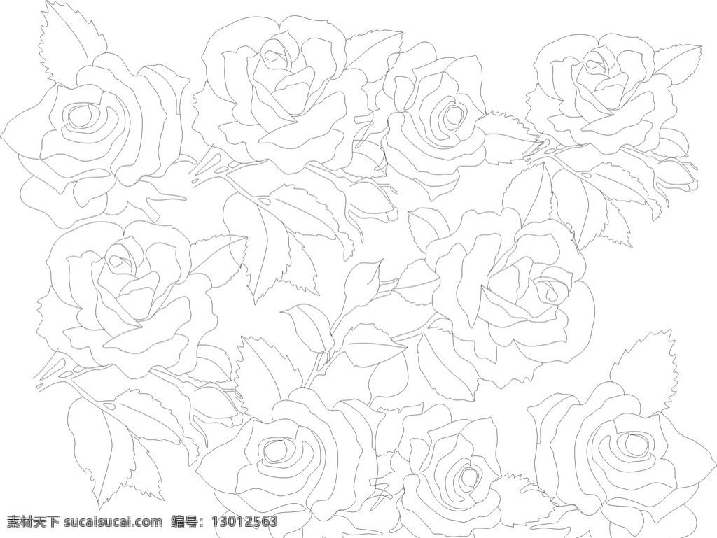 玫瑰花 线条 优雅 漂亮 整体 底纹边框 其他素材