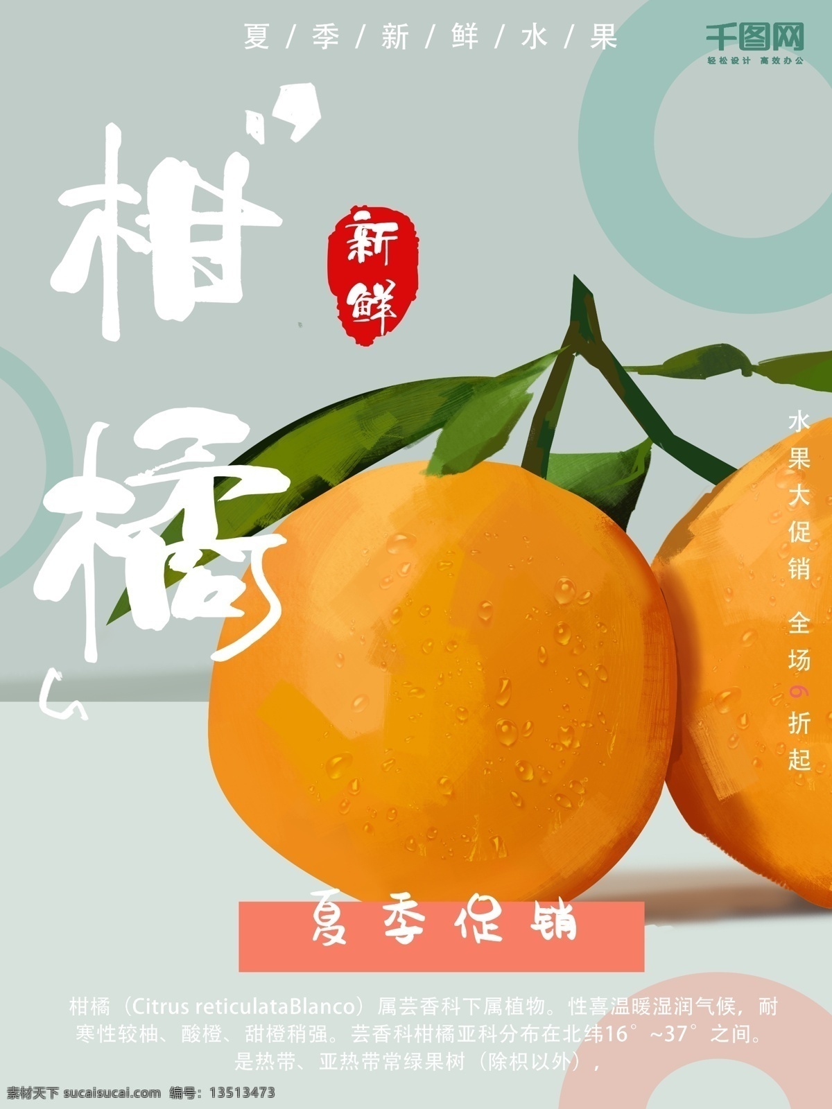 手绘 新鲜 水果 海报 橘子 夏季 促销 宣传 清新 朋友圈