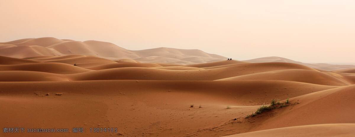 美景 肌理 风沙 沙子 大沙漠 沙 荒漠 干燥 半荒漠 风化 水土流失 生态恶化 贫瘠 灾害 戈壁滩 贫瘠的土地 自然景观 自然风景