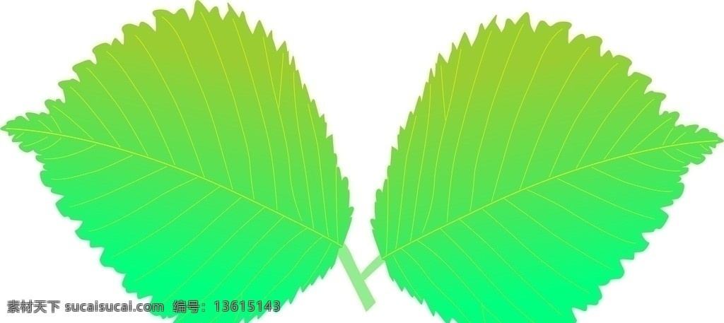 叶子 矢量图 两片树叶 矢量素材 其他矢量 矢量