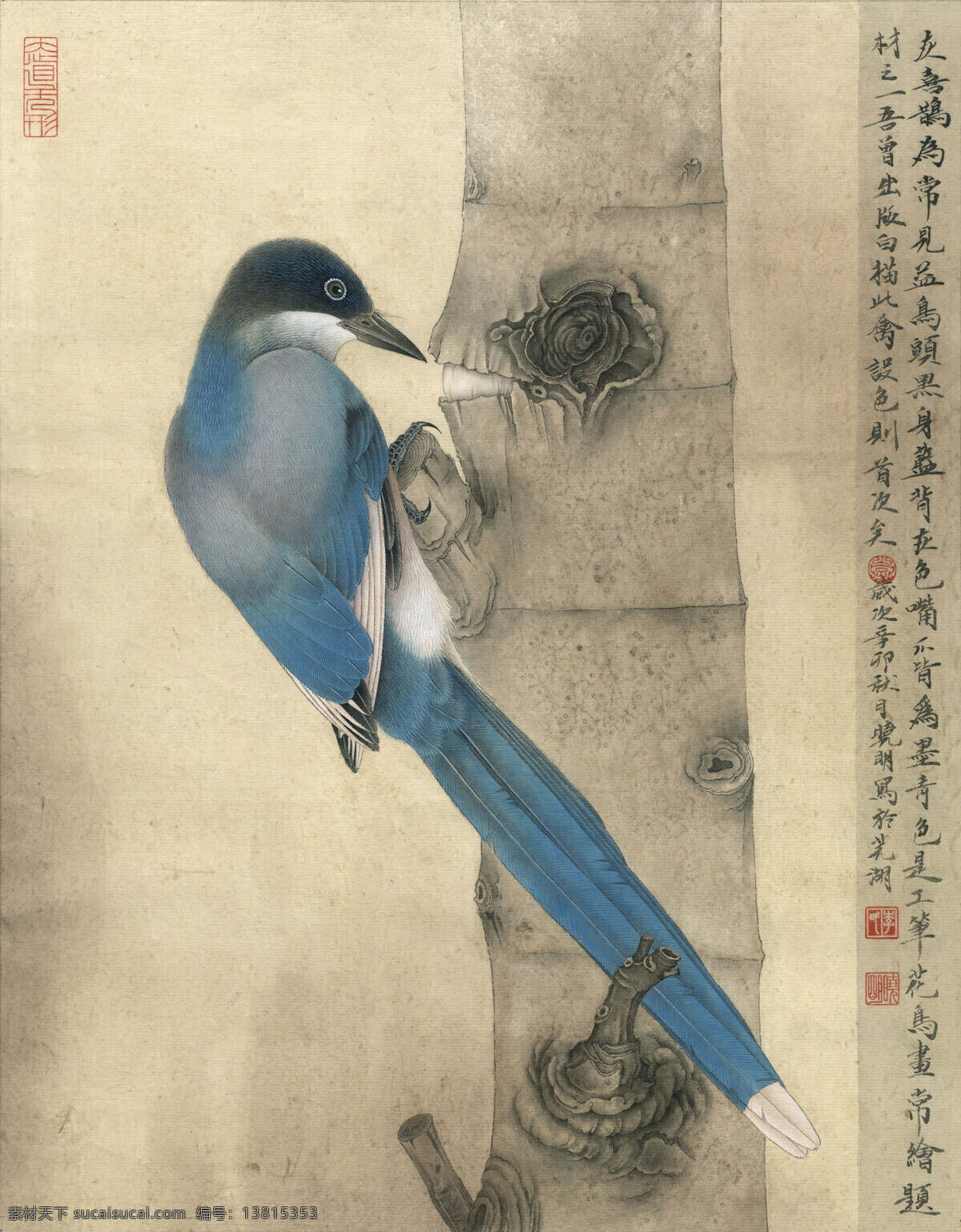 灰喜鹊 工笔画 国画 水墨画 喜鹊 树干 绘画书法 文化艺术 李晓明 工笔 花鸟 高清 图