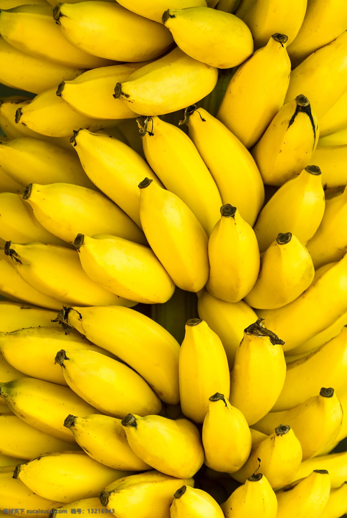 香蕉高清 香蕉 香蕉背景 香蕉摄影 水果 水果摄影 新鲜水果 水果广告 食物 水果蔬菜 餐饮美食 黄色