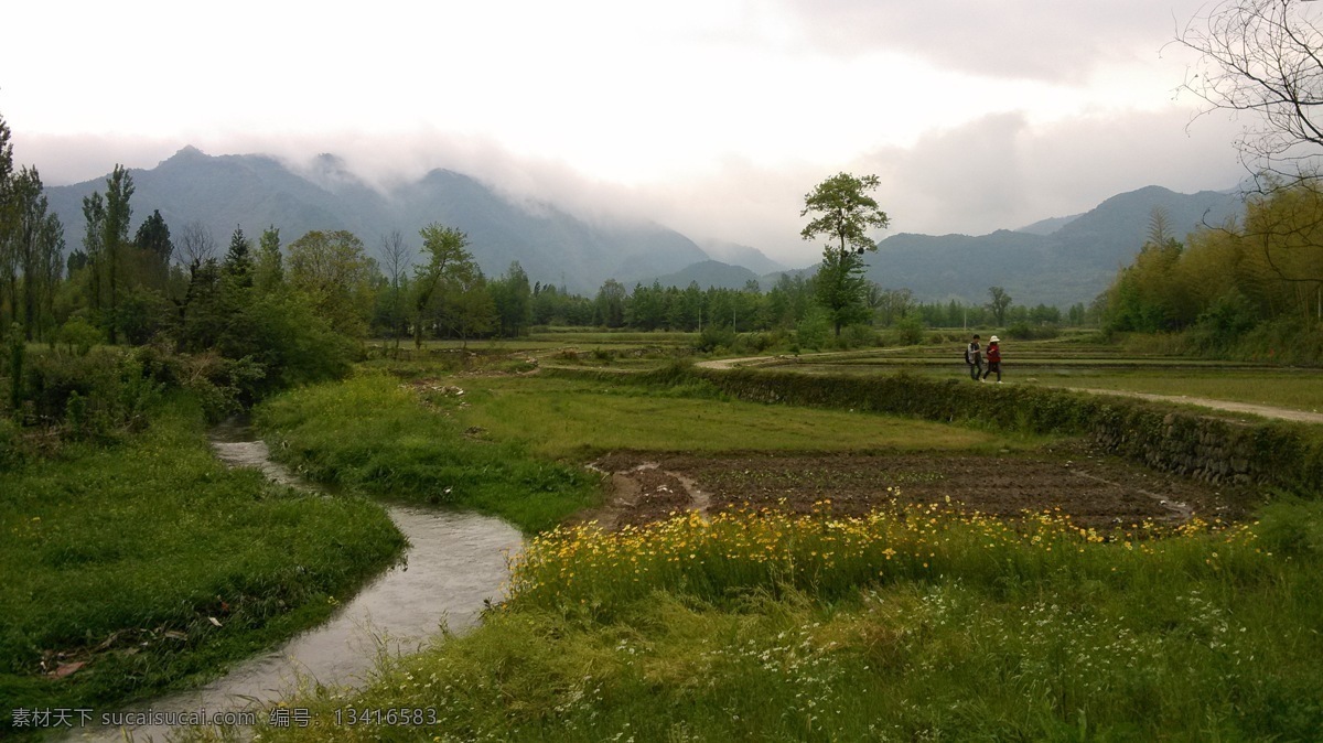 田野 绿色 夏天 小河 野花 后山 风景 田园风光 旅游摄影 自然风景