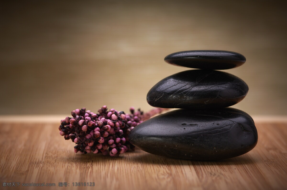 鲜花 花朵 水疗 鹅卵石 按摩石 磁石 spa 美容 生活百科 生活素材
