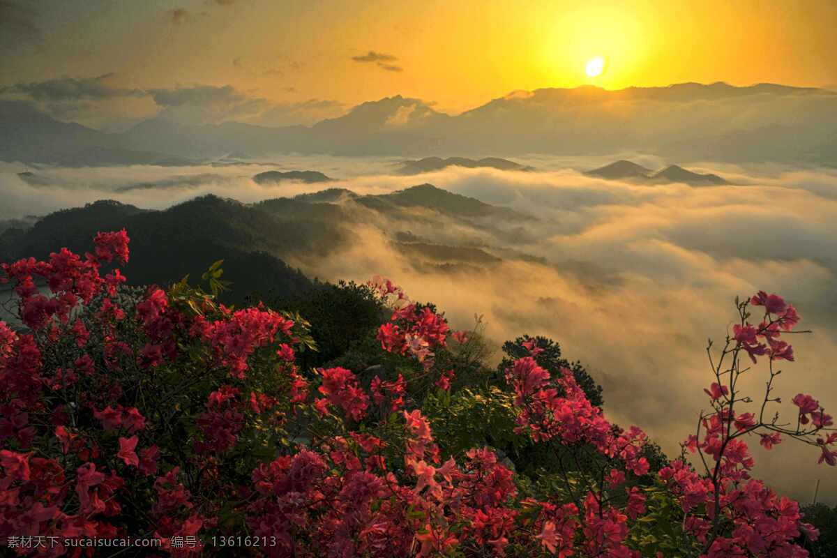 夕阳 映山红 云海 大别山 朝霞 自然景观 自然风景