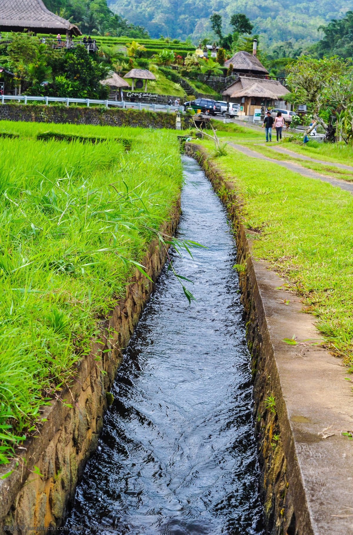 水稻沟 水流 水沟 梯田 东南亚 印度尼西亚 自然景观 田园风光
