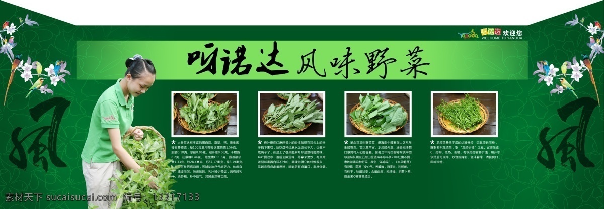 包装设计 风味 广告设计模板 野菜 源文件 柜台 包装 模板下载 柜台包装 采 小姑娘 psd源文件