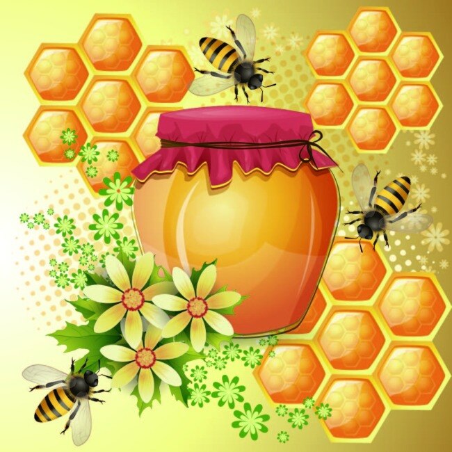 蜂蜜和蜜糖 花朵 蜜糖 蜂蜜 蜜蜂 黄色