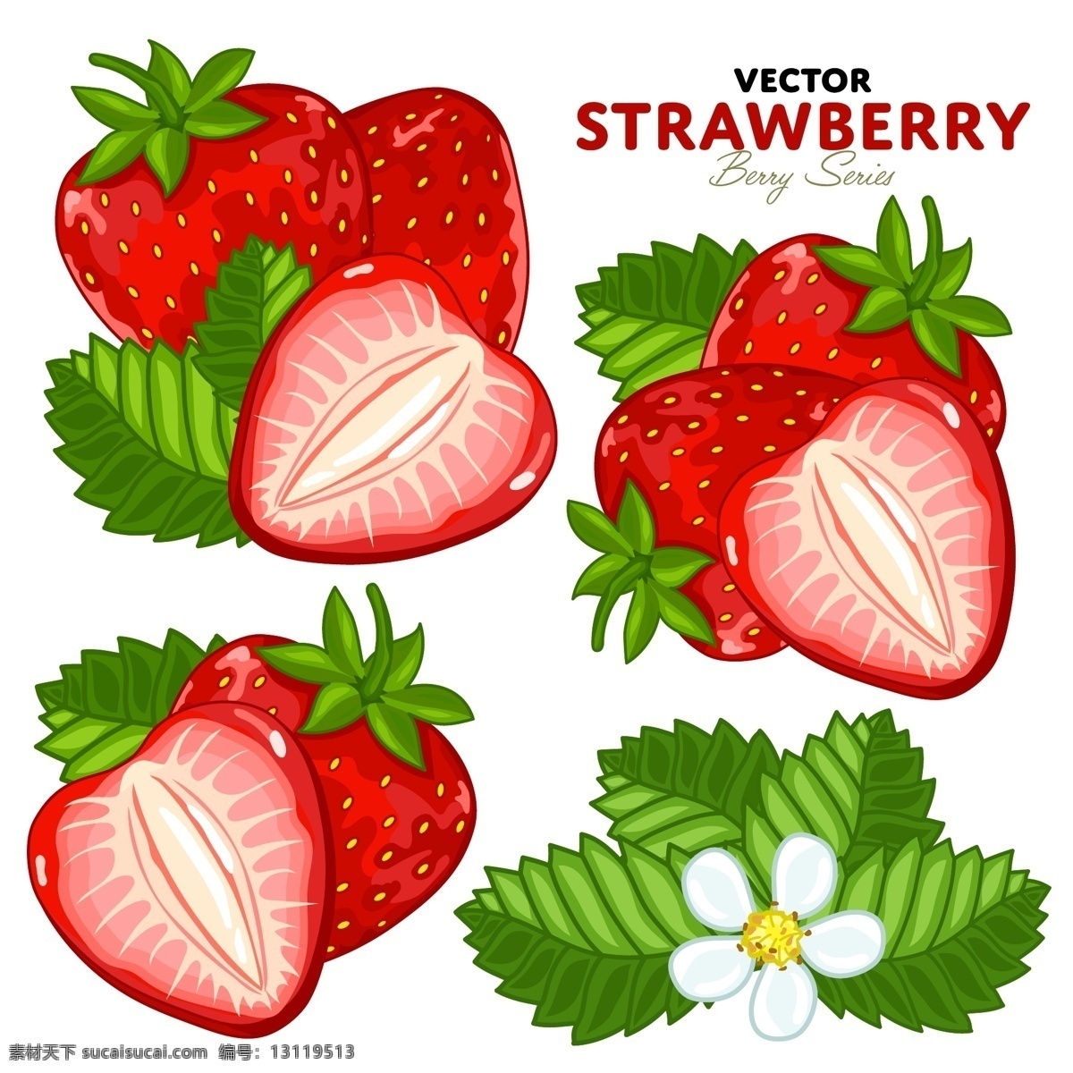 手绘 新鲜 草莓 插画 水果 叶子