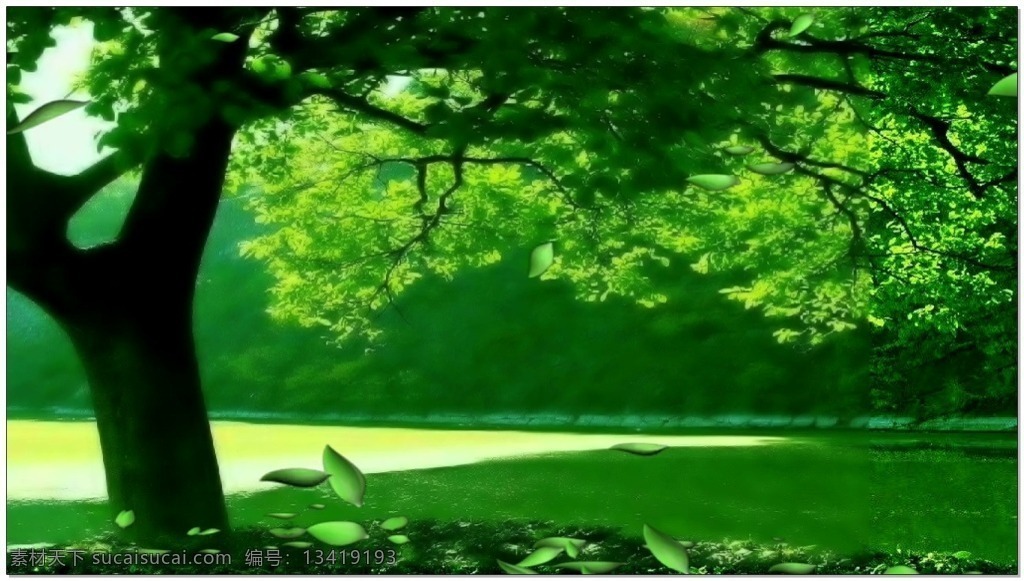 树木 绿色 背景 高清视频素材 视频素材 动态视频素材 生机 春天