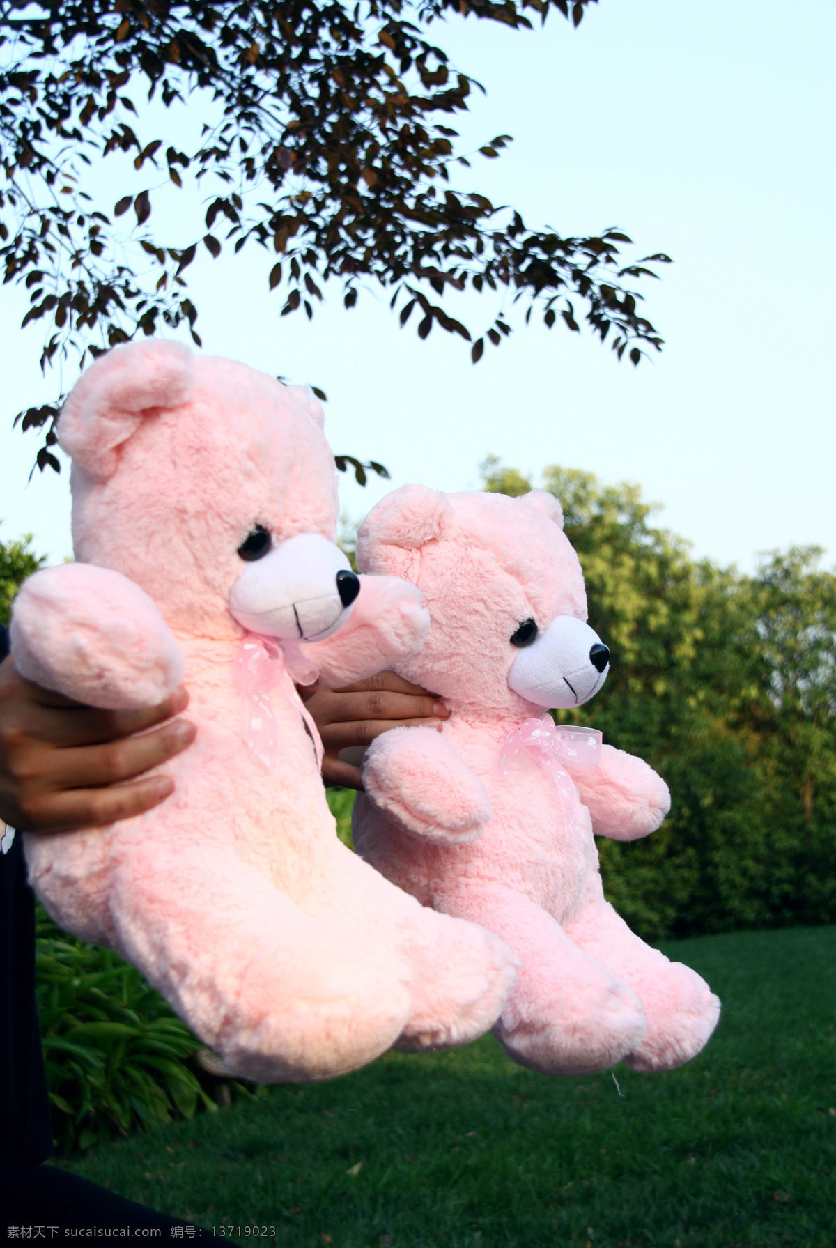 草地 粉红色 公园 国内旅游 旅游摄影 情侣 手拿 两 只 可爱 小 熊 小熊 玩具 并排 外景 上海 松江 泰晤士 小镇