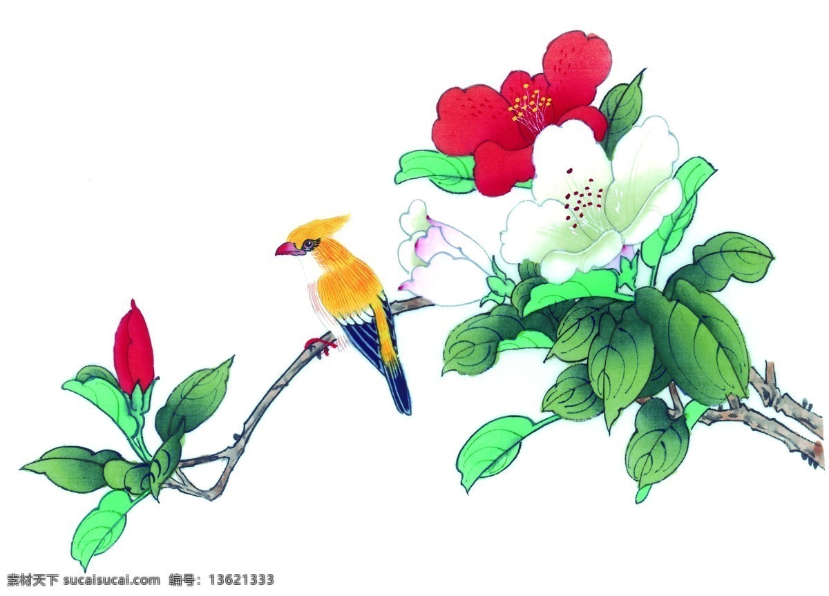 国画花鸟 国画花卉 国画牡丹 国画技法 国画 中国画 传统 绘画 花卉 花鸟国画 文化艺术 绘画书法