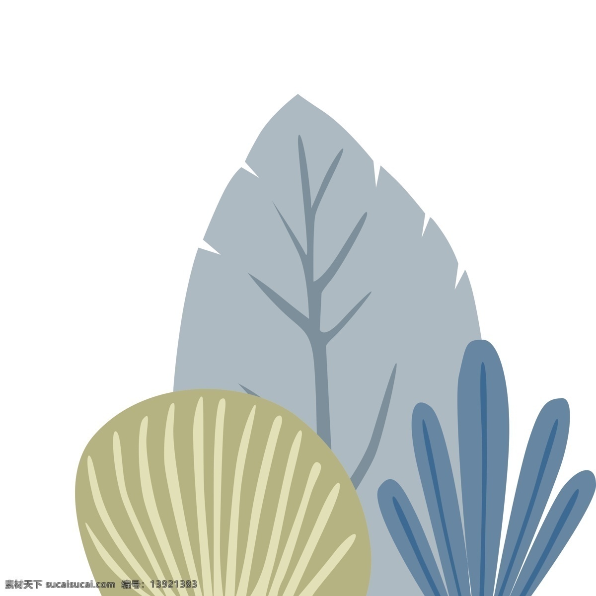 灰色 淡雅 植物 元素 创意 自然 纹理 装饰 海洋植物 卡通插画 水草 扇形 锯齿 可爱 植被