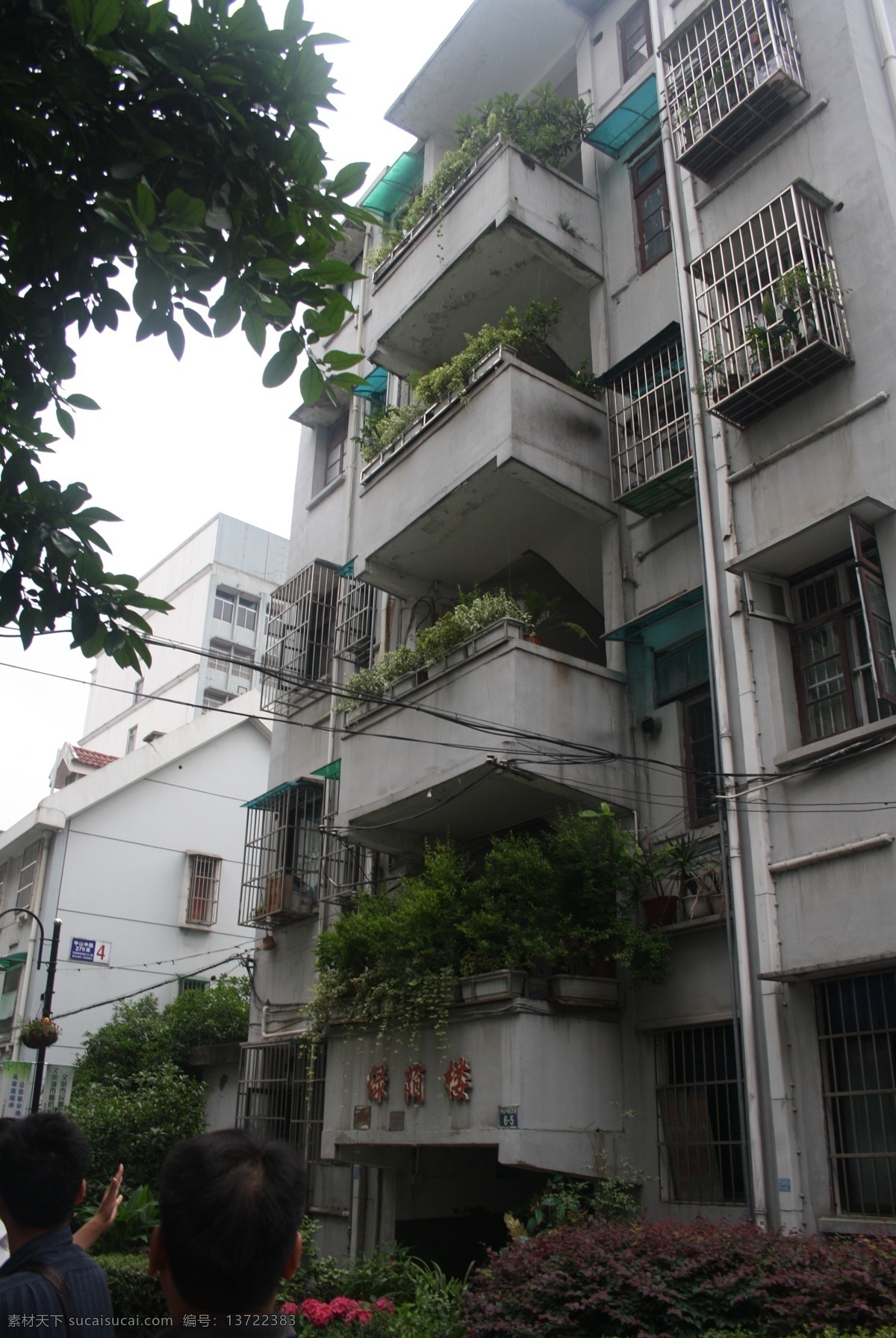小区建筑楼 小区 居民楼 居民住宅区 住宅区 社区 住宅 楼房 老小区 小区楼房 小区建筑 小区居民楼 建筑楼 建筑摄影 建筑园林