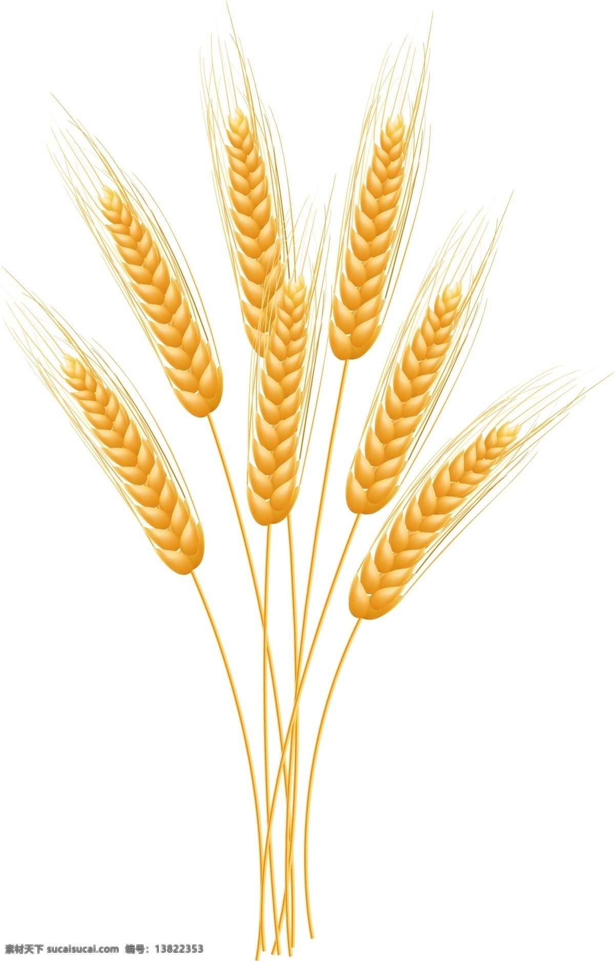 小麦 相关 图案 矢量 背景 装饰 矢量素材 装饰图案 设计元素