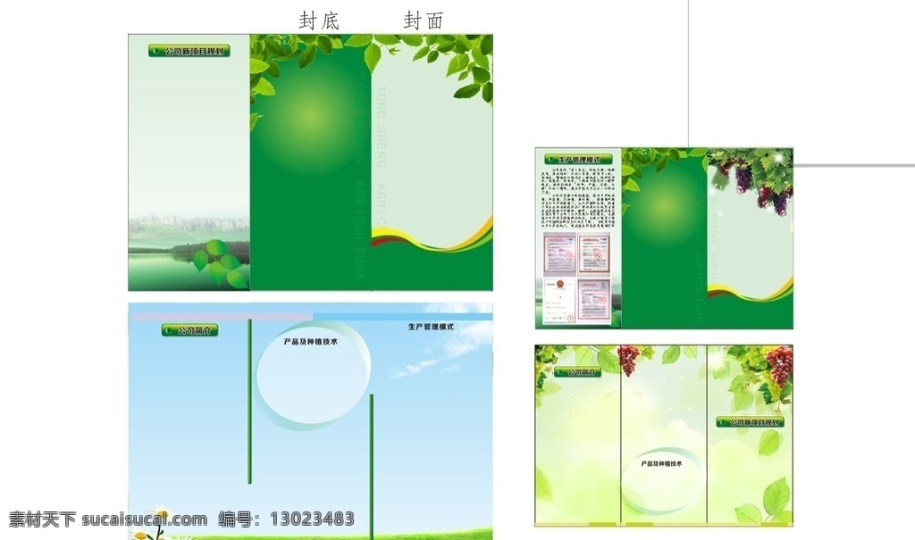 三折页 绿色折页 折页底色 环保折页 葡萄折页