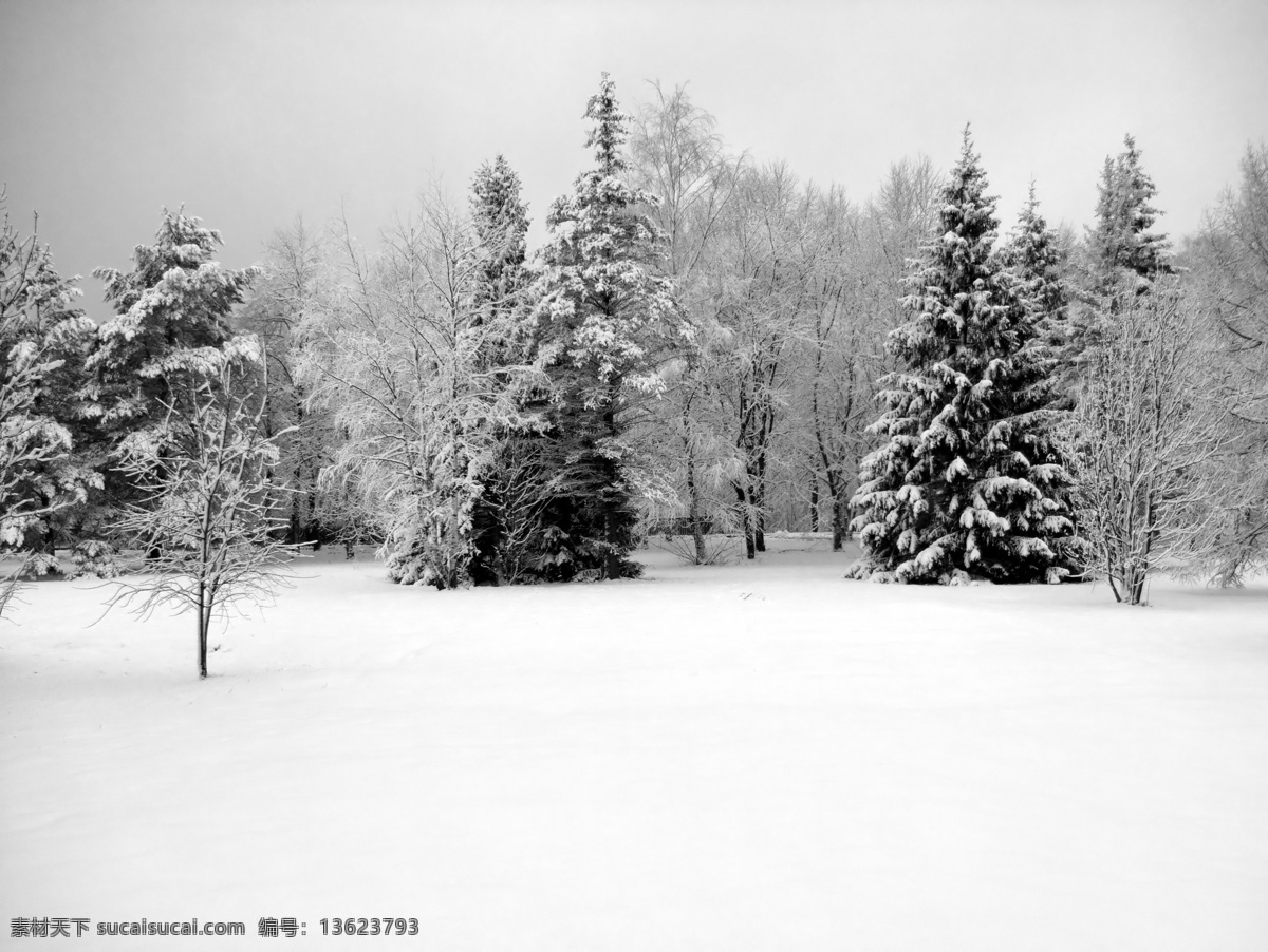 冬天 雪景 背景 冰雪 创意图片 高清图片 寒冷 精美图片 设计创意 圣诞节 实用图片 印刷适用 节日素材