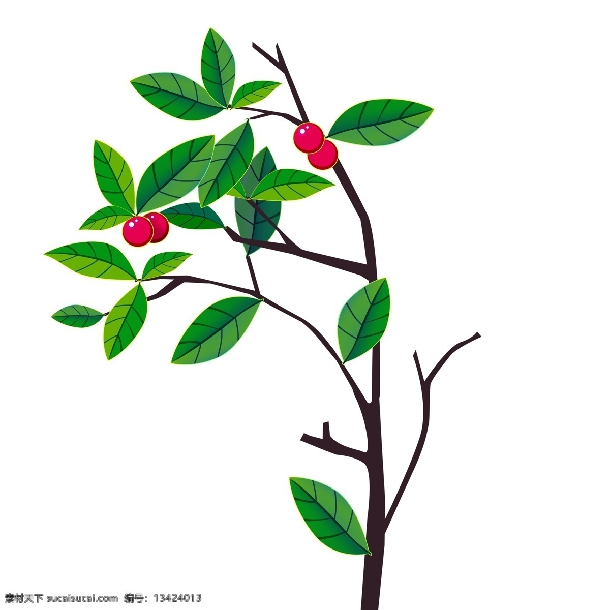 流光溢彩 红果 子 树枝 商用 元素 插画 卡通 果树 绿叶 手绘 红果子 果子 果实