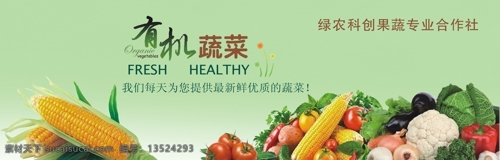 有机蔬菜 蔬菜 绿色蔬菜背景 玉米 有机蔬菜广告 矢量