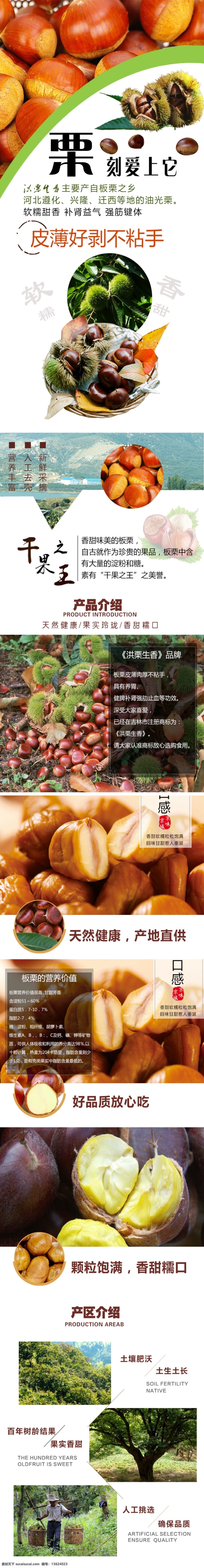 板栗 天然 干果 栗子 详情 页 宝贝图 美食