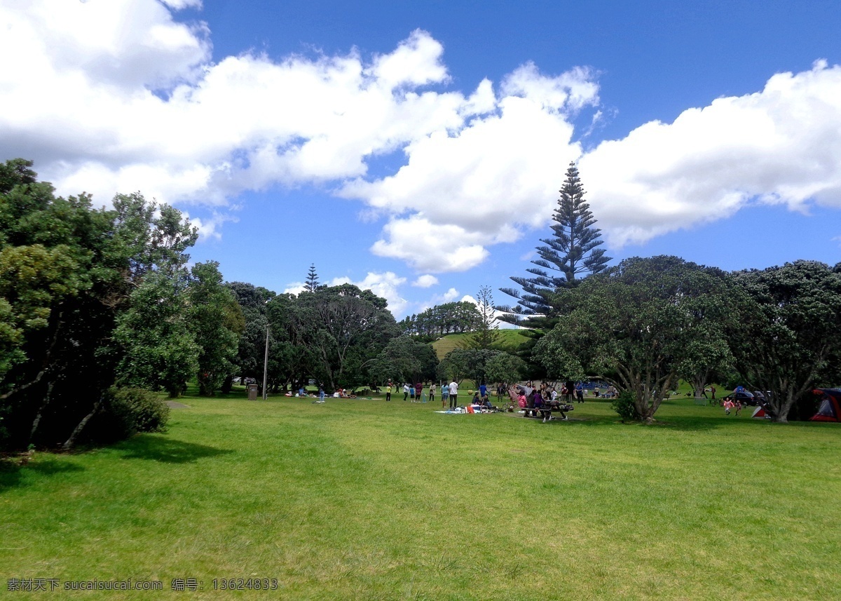 新西兰 海滨 公园 风景 蓝天 白云 海滨公园 绿树 绿地 草地 游人 休闲 风光 旅游摄影 国外旅游