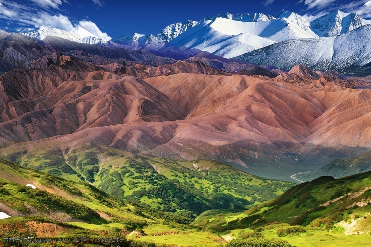沙漠雪山 沙漠图片 沙漠绿草图片 沙漠植被图片 沙漠蓝天图片