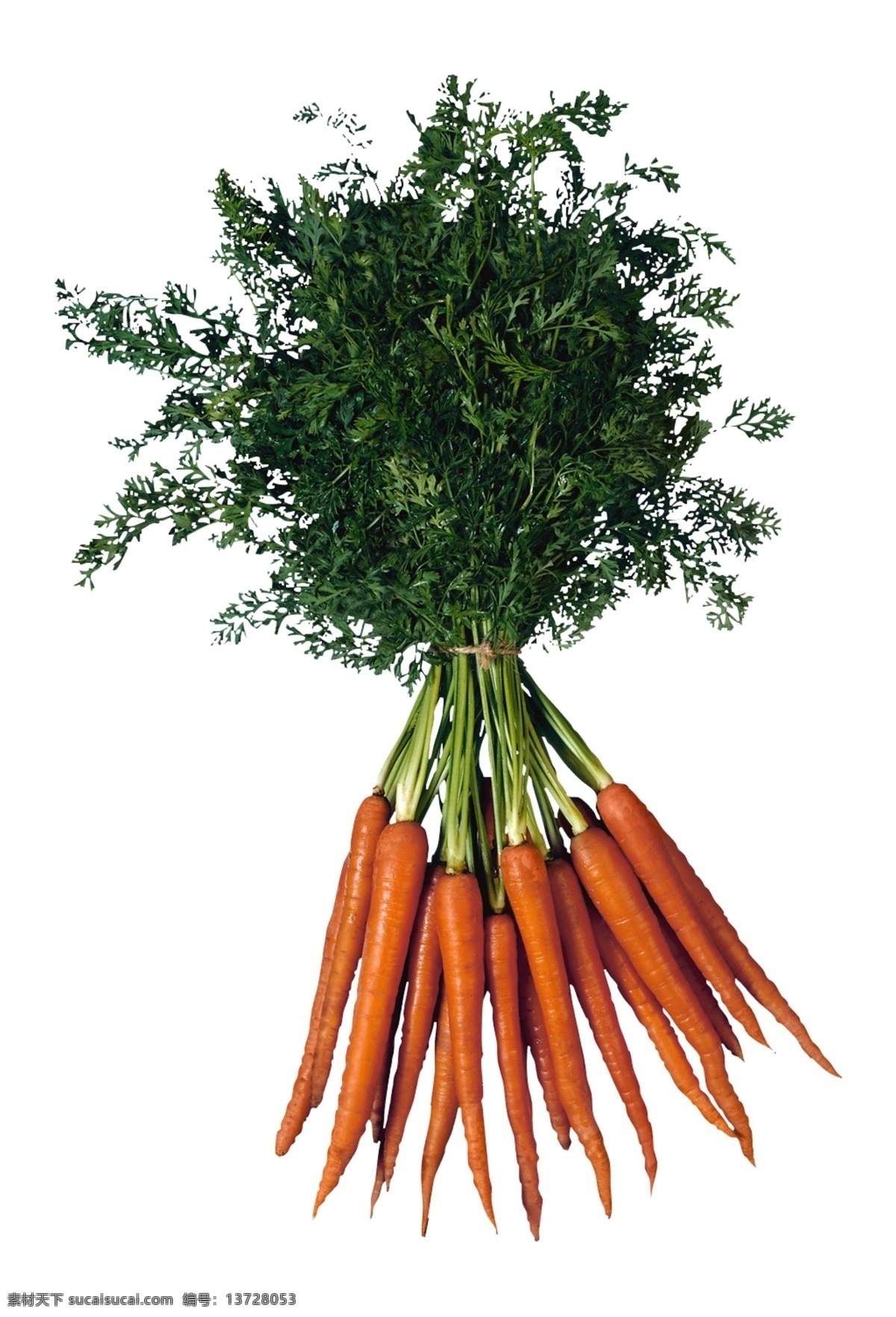 一把 胡萝卜 水果 蔬菜 营养 食物 红萝卜