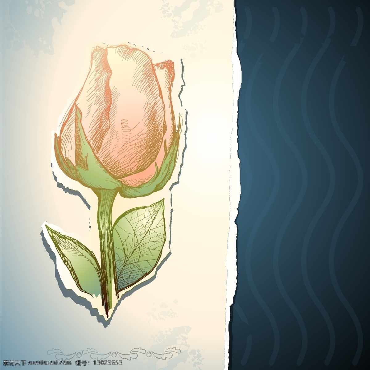 复古 玫瑰 贴纸 花蕾 裂痕 矢量素材 撕痕 矢量图 花纹花边