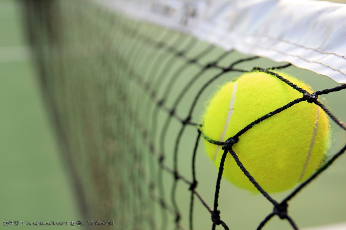 网球 运动 体育运动 健身 体育锻炼 球网 生活百科