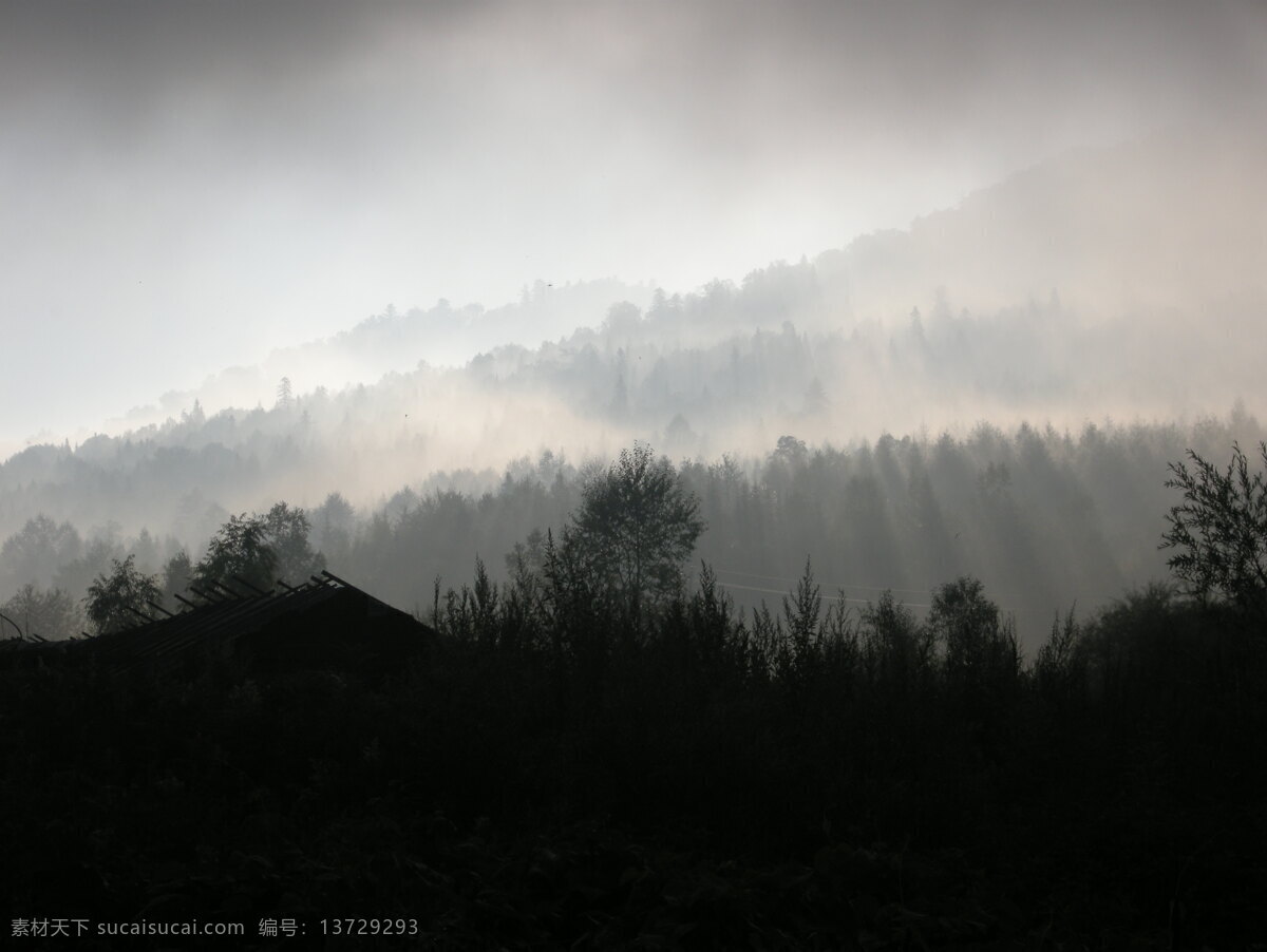 远山云雾 森林 雾气 自然风景 自然景观