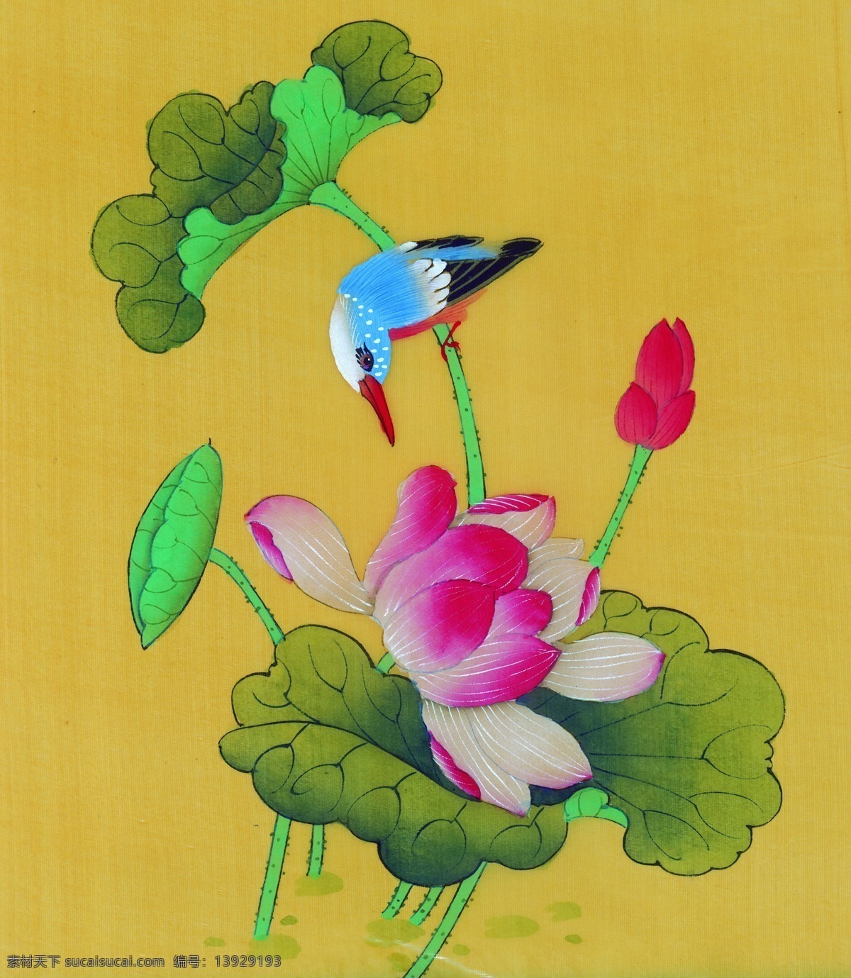 国画花鸟 国画花卉 国画牡丹 国画技法 国画 中国画 传统 绘画 花卉 花鸟国画 文化艺术 绘画书法