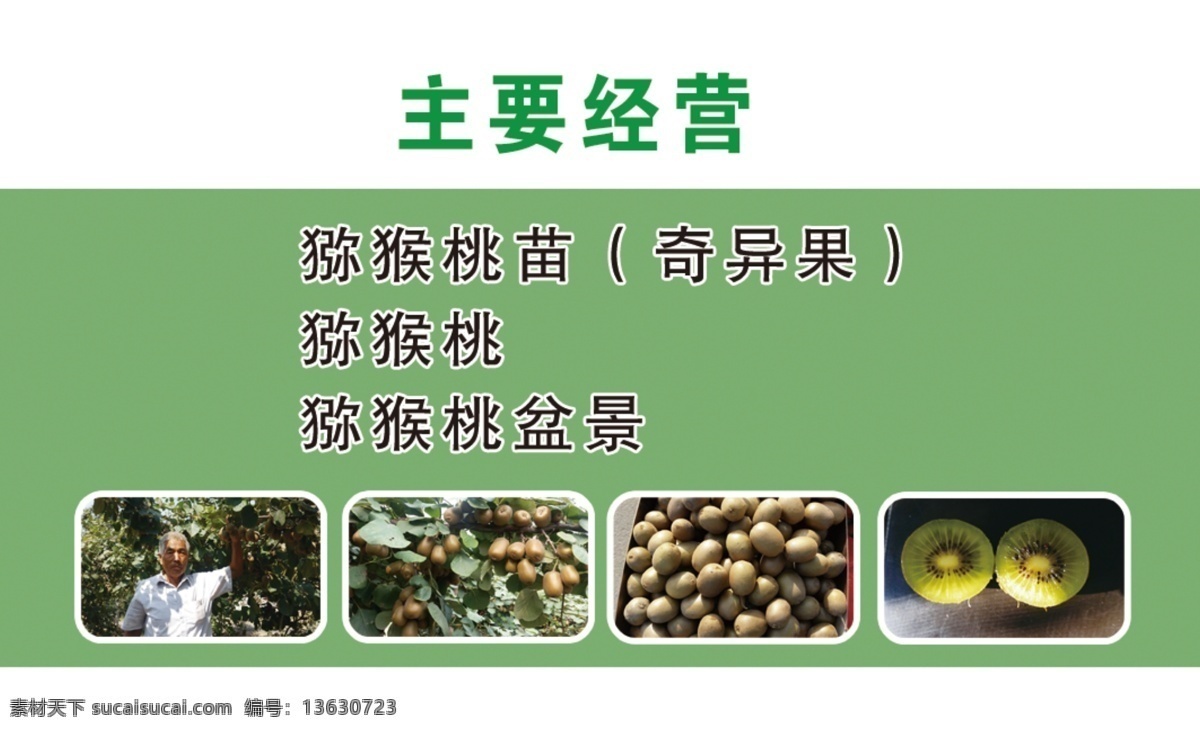 猕猴桃名片 瓜果名片 水果名片 水果 西瓜 香蕉 番茄 猕猴桃 黄瓜 经营项目 名片卡片 分层