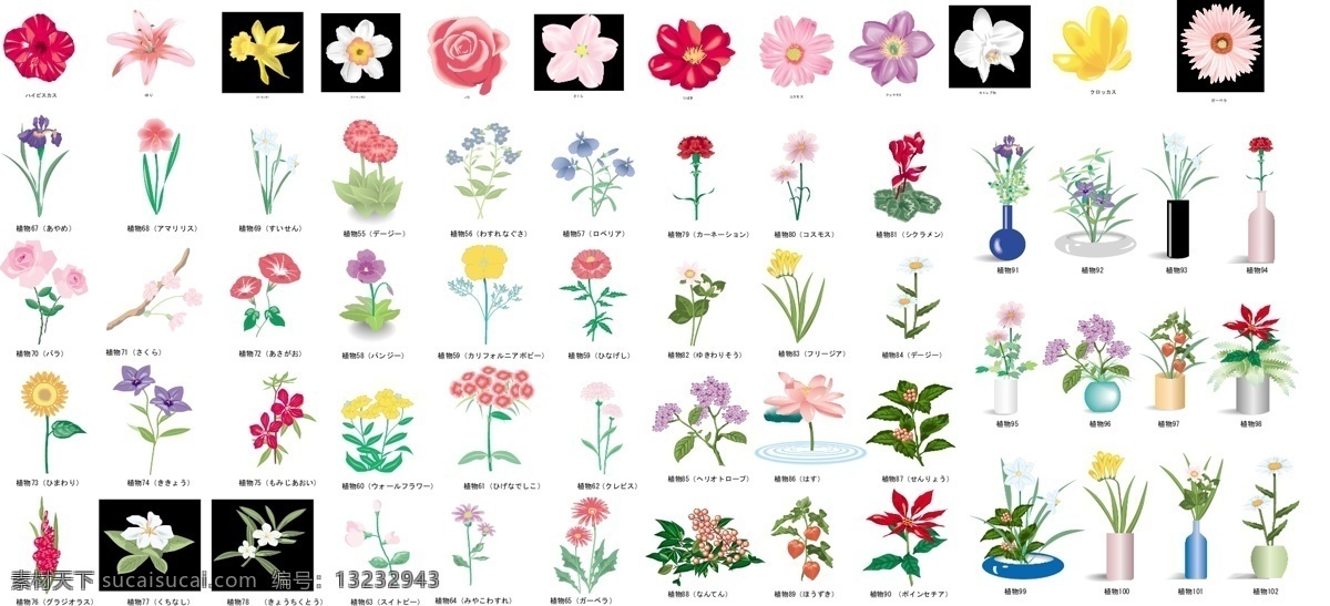 植物 花卉 元素 矢量 material2 花 元 向量 其他材料 矢量图 其他矢量图