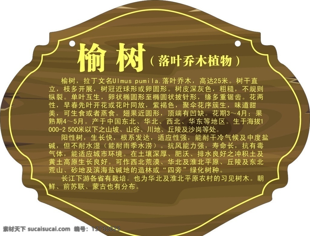 花草木挂牌 挂牌 吊牌 植物挂牌 花草植物简介 花草牌