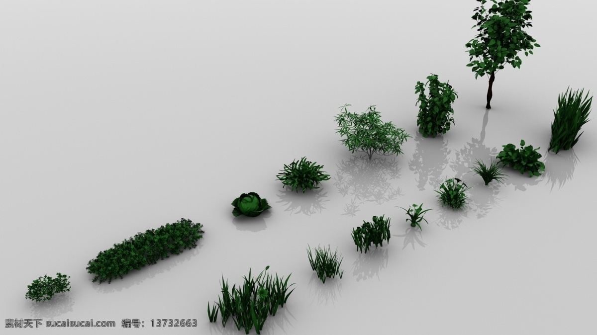 多种 写实 植物 合集 乔木 灌木 写实植物 模型 多种合集 maya